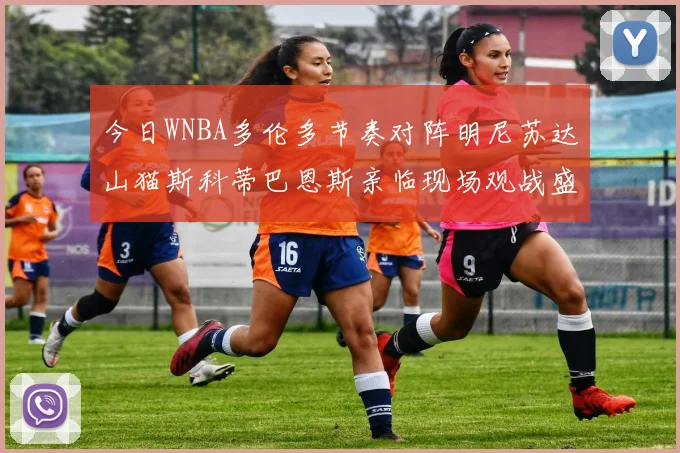 今日WNBA多伦多节奏对阵明尼苏达山猫斯科蒂巴恩斯亲临现场观战盛况