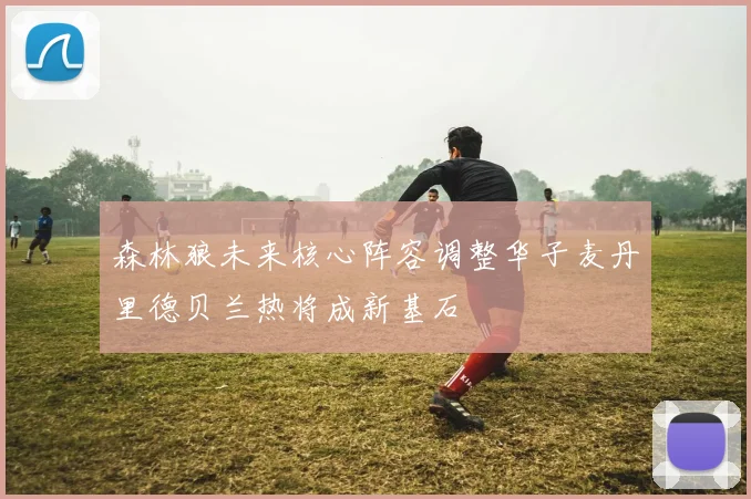 森林狼未来核心阵容调整华子麦丹里德贝兰热将成新基石